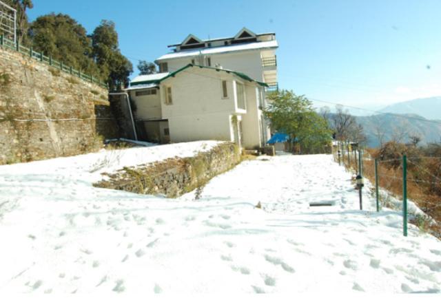 Natureraga Fernhill Resort Chail Bagian luar foto