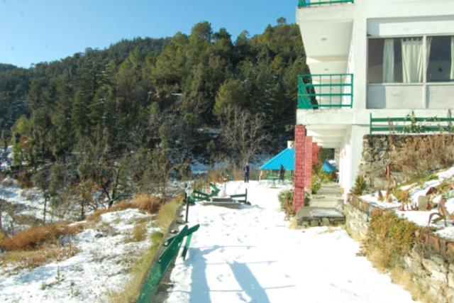 Natureraga Fernhill Resort Chail Bagian luar foto