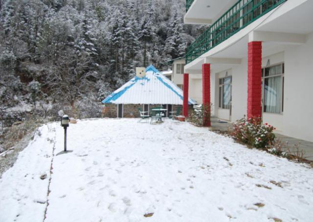 Natureraga Fernhill Resort Chail Bagian luar foto