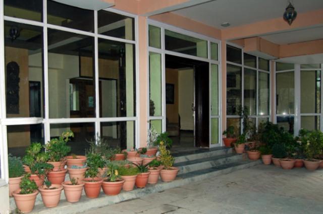 Natureraga Fernhill Resort Chail Bagian luar foto