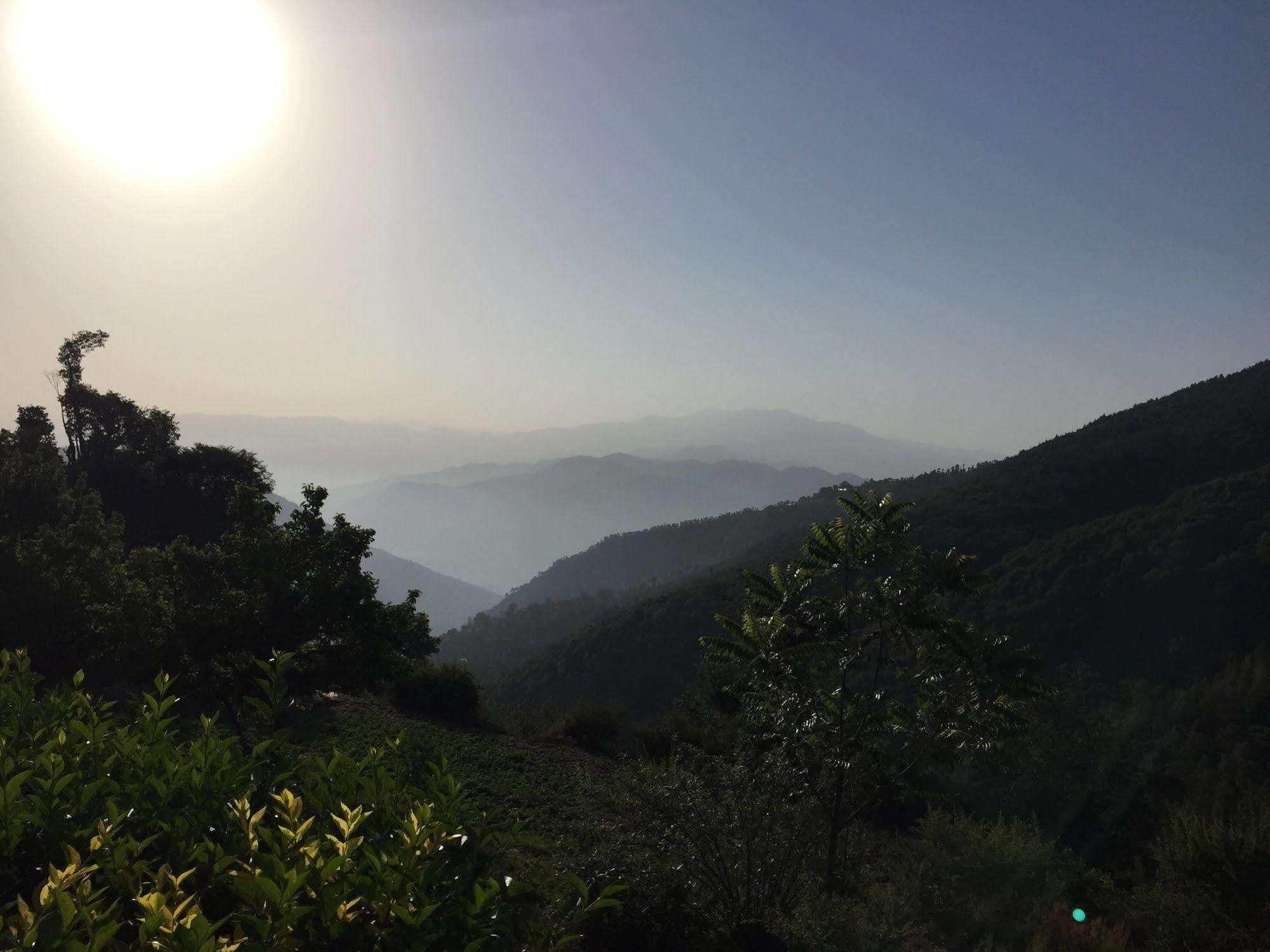 Natureraga Fernhill Resort Chail Bagian luar foto